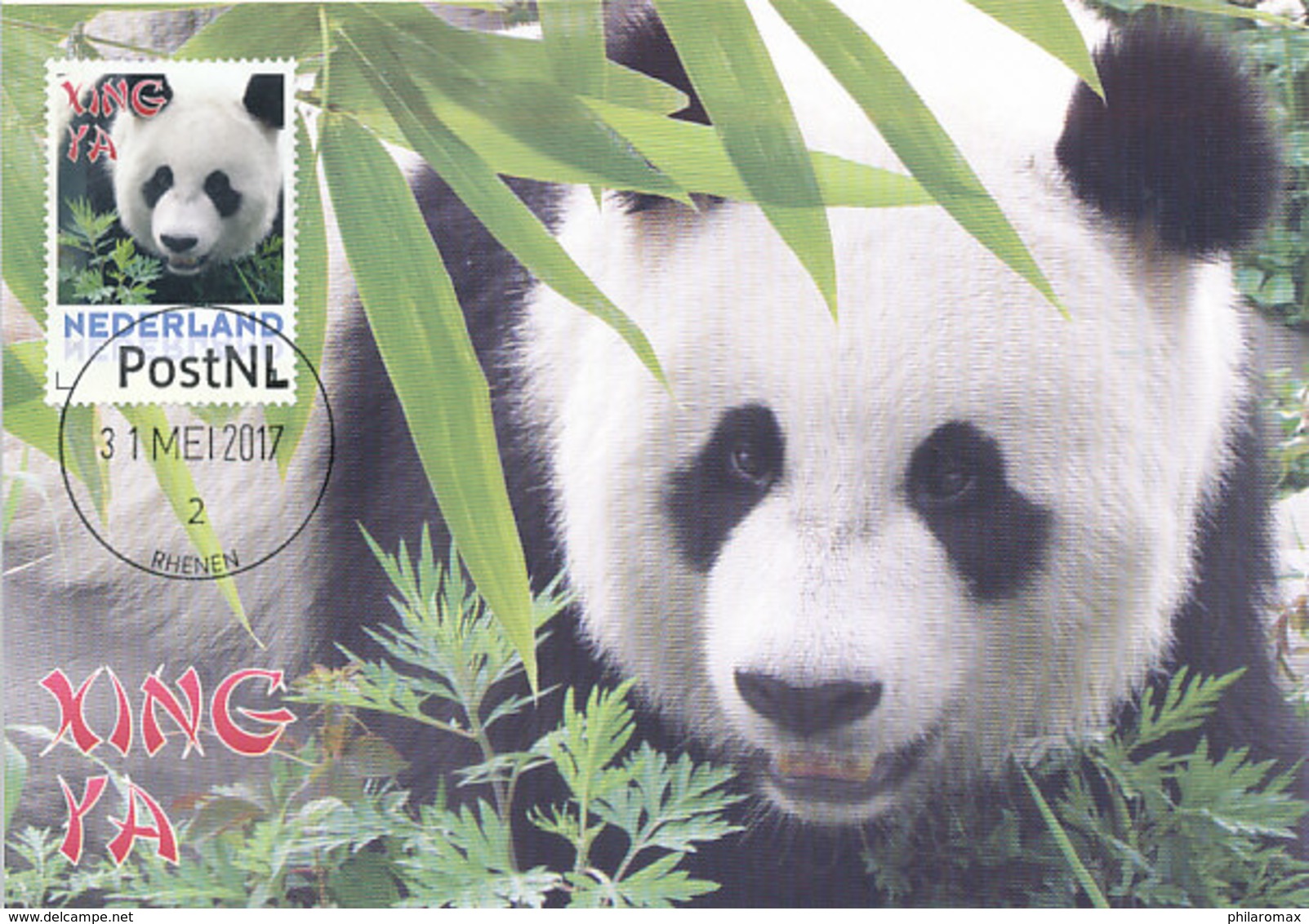 D32653 CARTE MAXIMUM CARD 2017 NETHERLANDS - GIANT PANDA XING YA - RHENEN BURGERS ZOO CP ORIGINAL - Maximum Cards