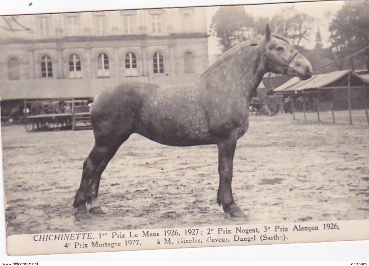 Cpa-72-dangeul- Chichinette-cheval De Race-vainqueur De Concours--eleveur M.Nicolas Dangel-photo Chambry (rouen) 1937 - Autres & Non Classés