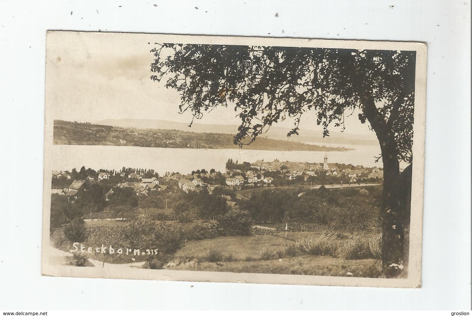 STECKBORN 315 CARTE PHOTO VUE PANORAMIQUE 1916 - Steckborn