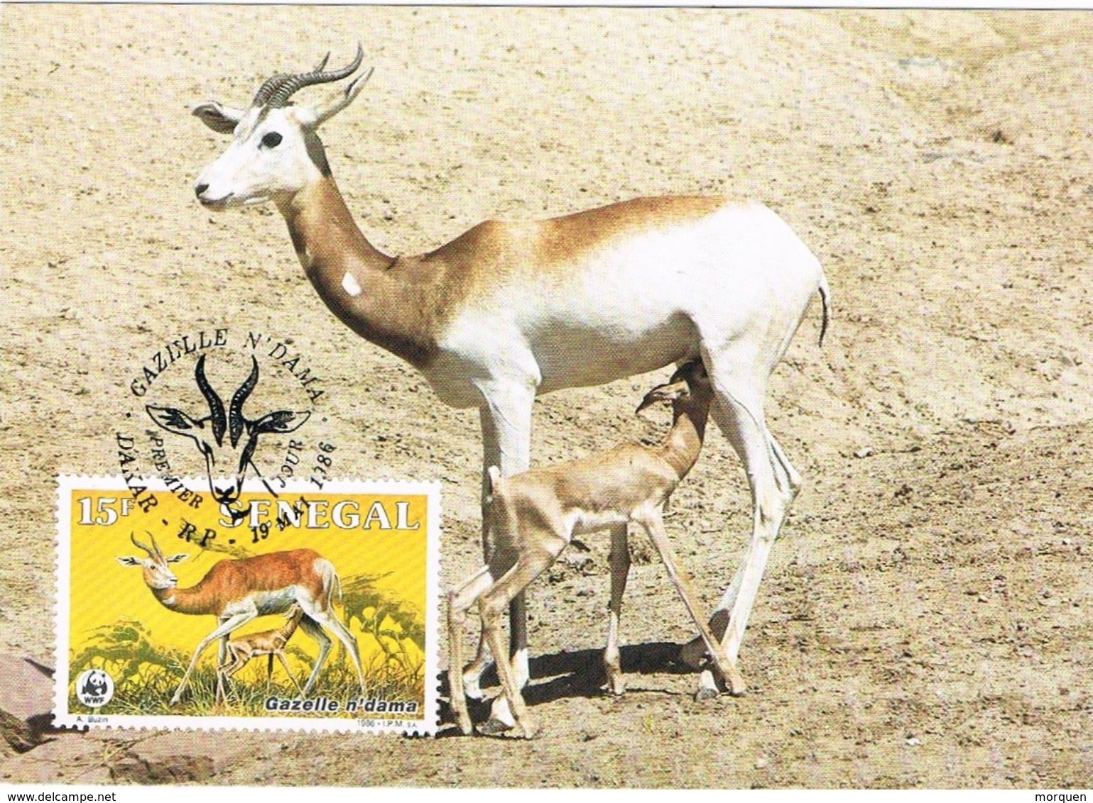 27422. Tarjeta Maxima DAKAR (Senegal) 1986. Gacela, Gazelle N'dama - Animalez De Caza