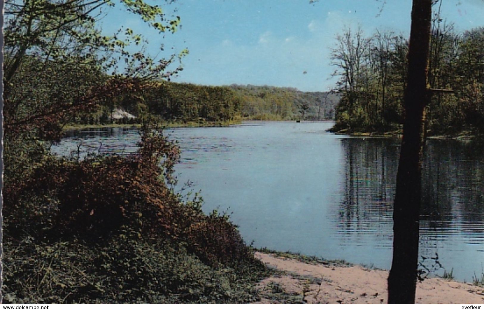 BUC Etang De La Geneste - Buc