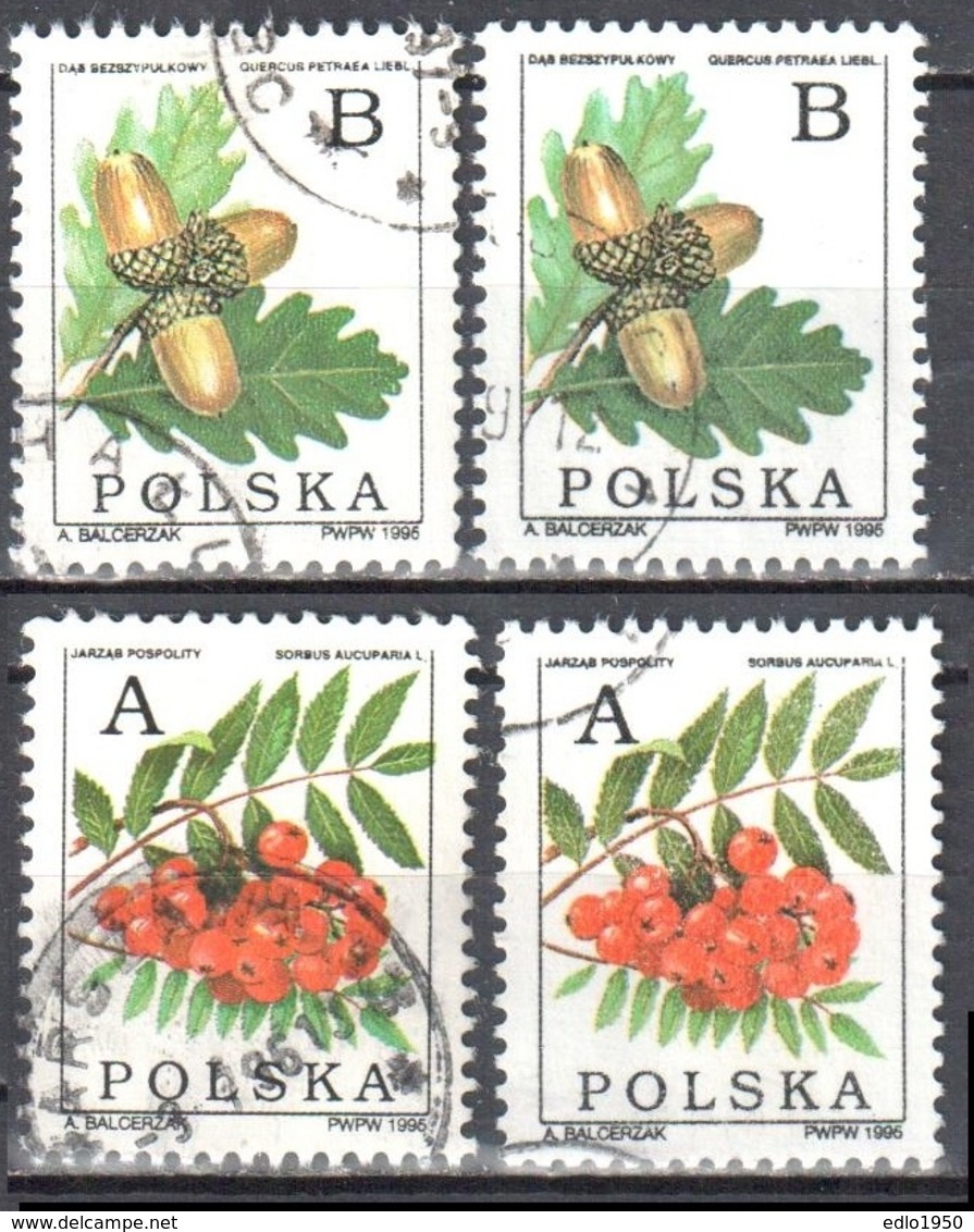 Poland 1995 - Deciduous Trees- Mi 3549-50 X,y - Used Gestempelt - Gebruikt