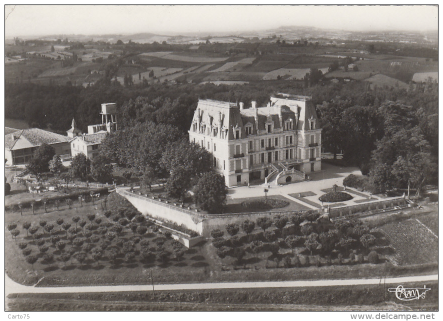 Réalville 82 - Vue Générale Aérienne Château De Granes - Albias