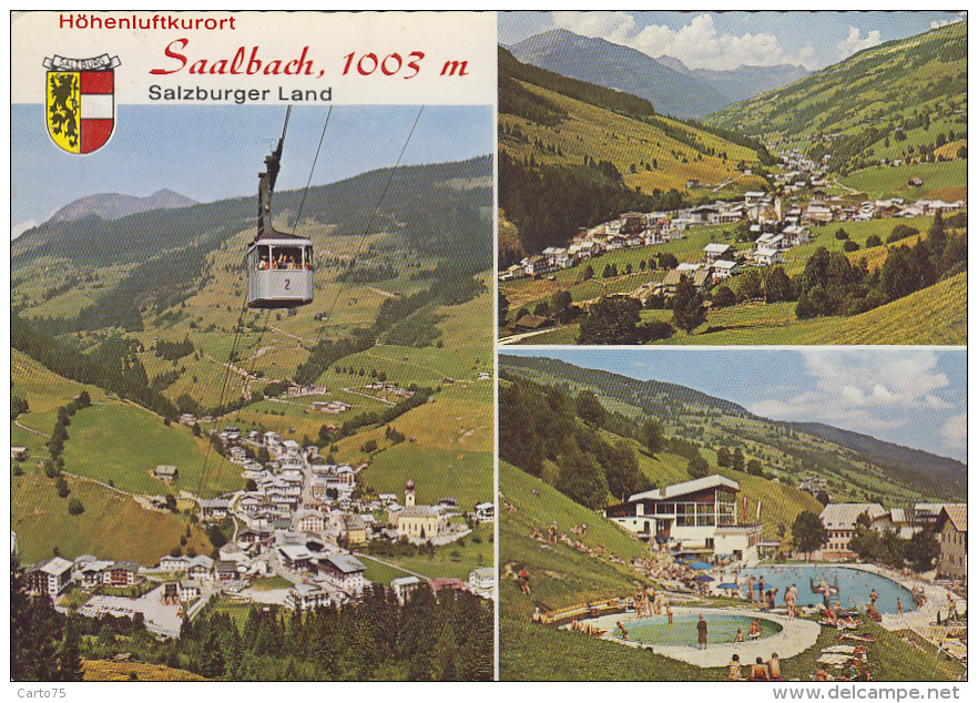 Autriche - Saalbach - Panorama - Saalbach