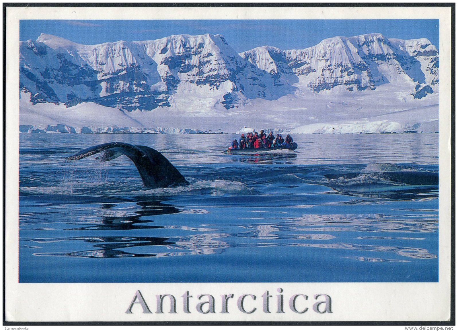 1998-2002 11 X Postcards USAF McMurdo Sound Antarctica APO AP 96599 Penguins - Onderzoeksstations