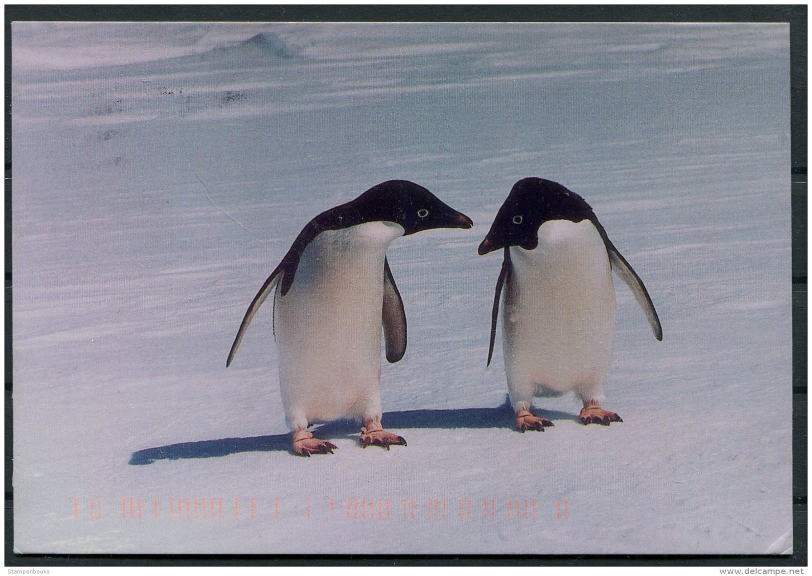 1998-2002 11 X Postcards USAF McMurdo Sound Antarctica APO AP 96599 Penguins - Onderzoeksstations