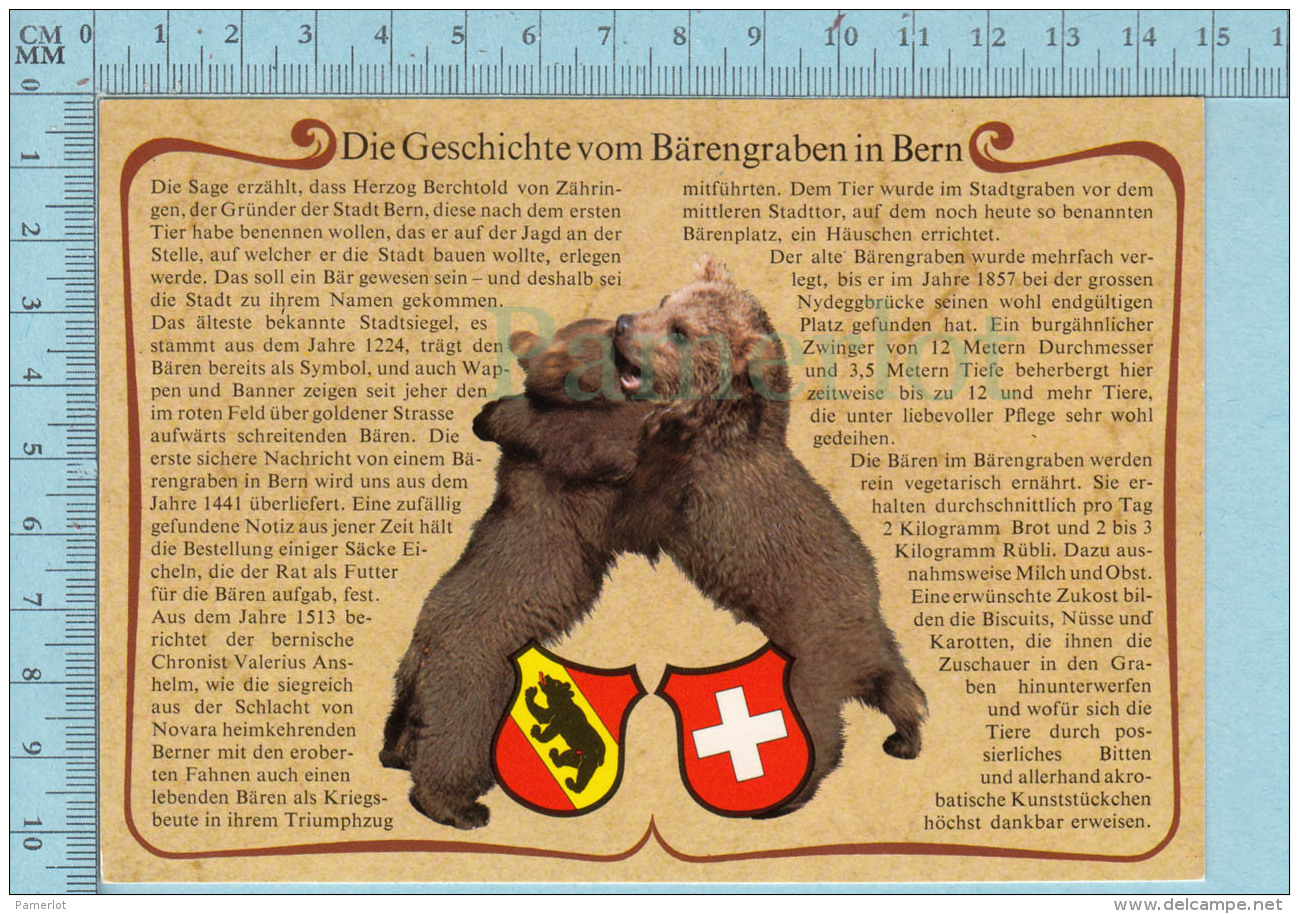 Ours  Bears- Die Geschichte Vom Barengraben In Bern, Description De L'histoire  Barengraden à Berne - Berne