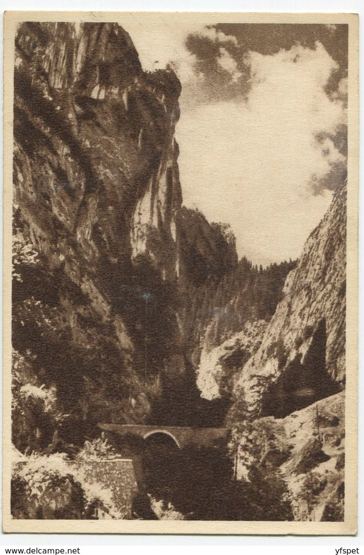 The Bicaz Gorges - The Bridge - Roemenië