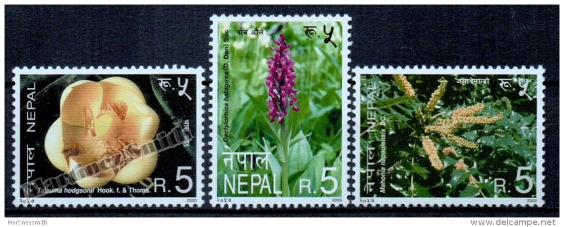 Nepal 2000 Yvert 690-92, Flora. Flowers - MNH - Népal