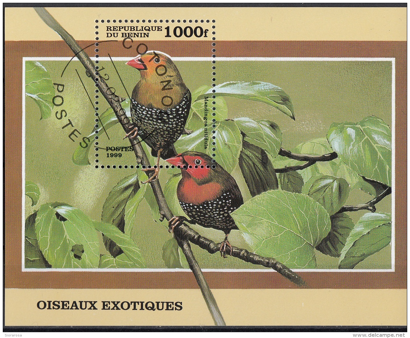 Benin 1999 Sc. 1126 Oiseaux Exotiques Mandingao Nitidula CTO Perf.  Amaranto Dorso Verde - Benin – Dahomey (1960-...)