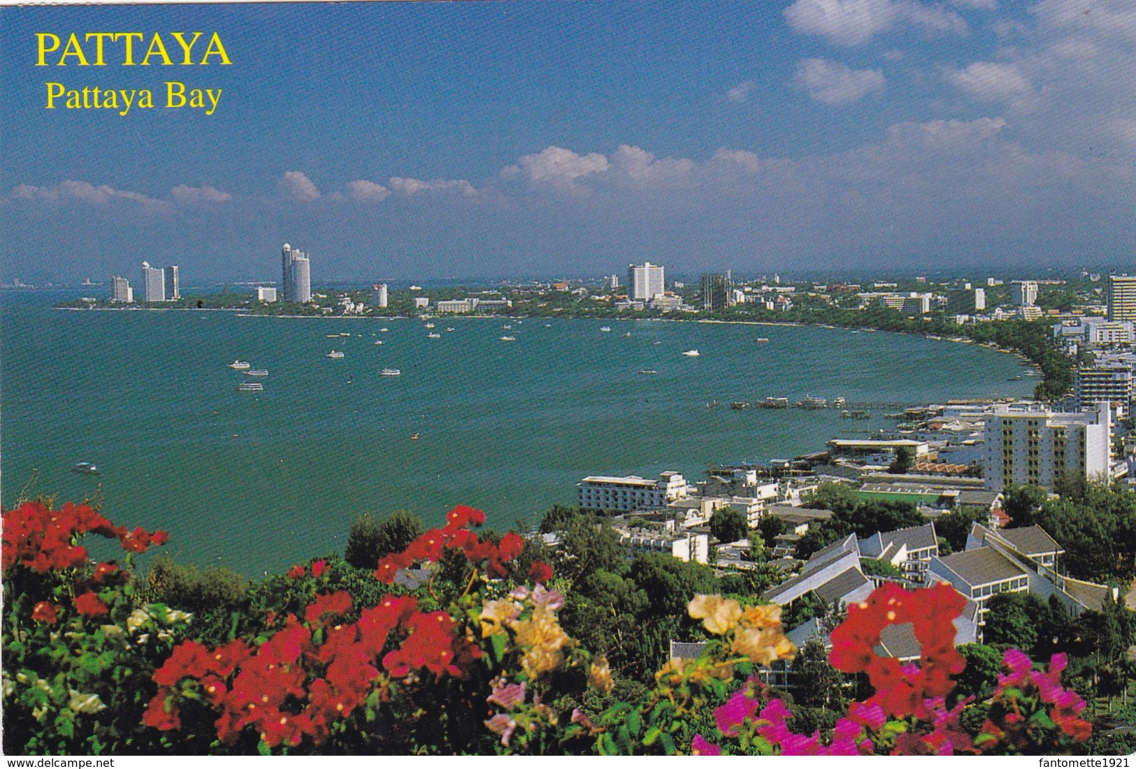 PATTAYA BAY (dil341) - Thaïlande