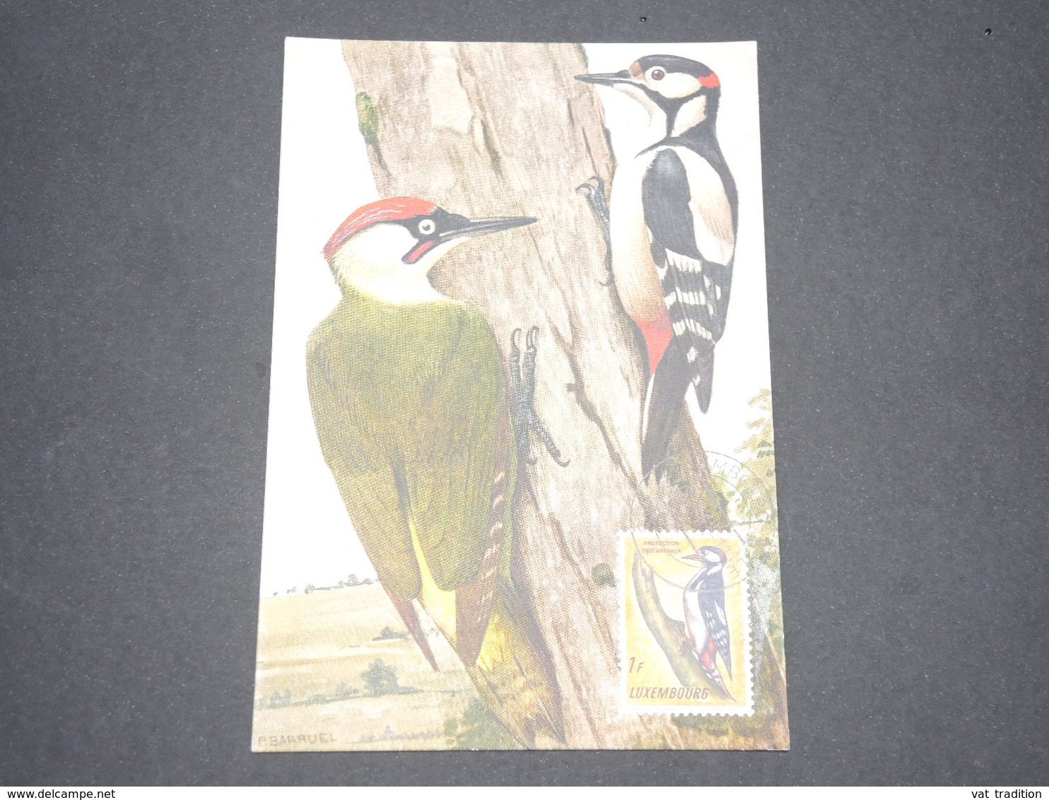 LUXEMBOURG - Carte Maximum Oiseaux - L 13313 - Maximum Cards