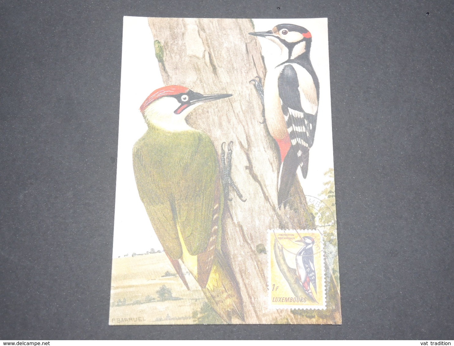 LUXEMBOURG - Carte Maximum Oiseaux - L 13313 - Cartes Maximum