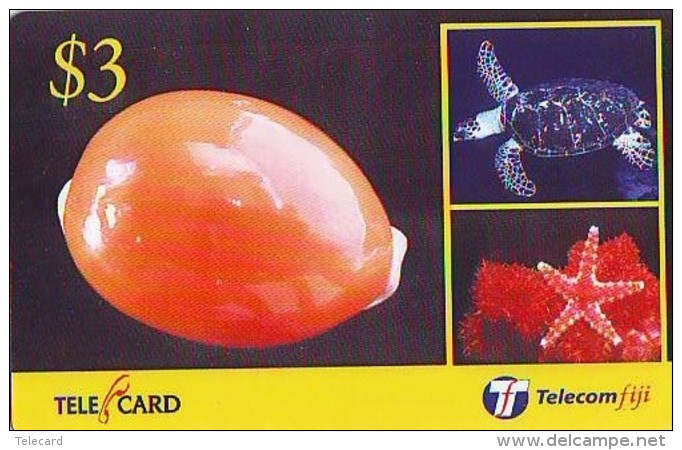 Télécarte FIJI  (2317) TORTUE *  TURTLE * SHELL * Phonecard - SCHILDKRÖTE * TELEFONKARTE - Turtles