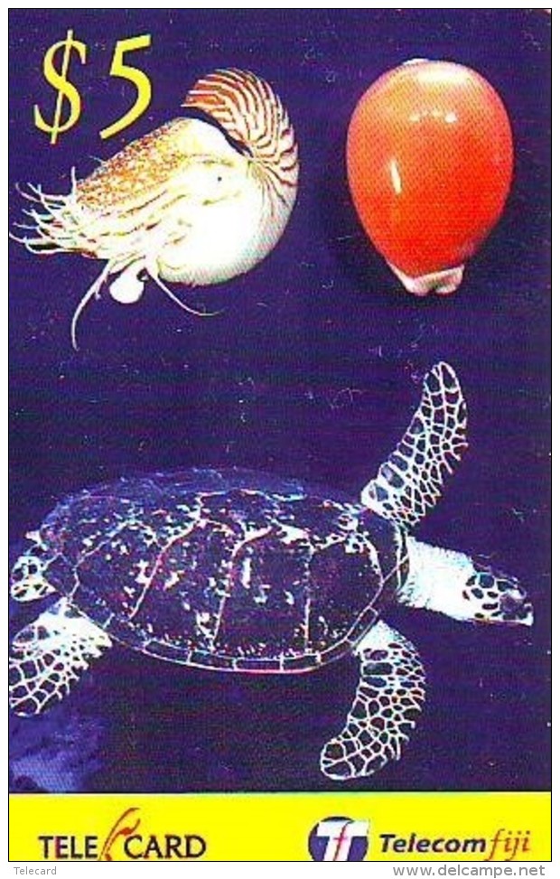 Télécarte FIJI  (2322) TORTUE *  TURTLE * GOLDEN COWRIE * SHELL *  Phonecard - SCHILDKRÖTE * TELEFONKARTE - Turtles