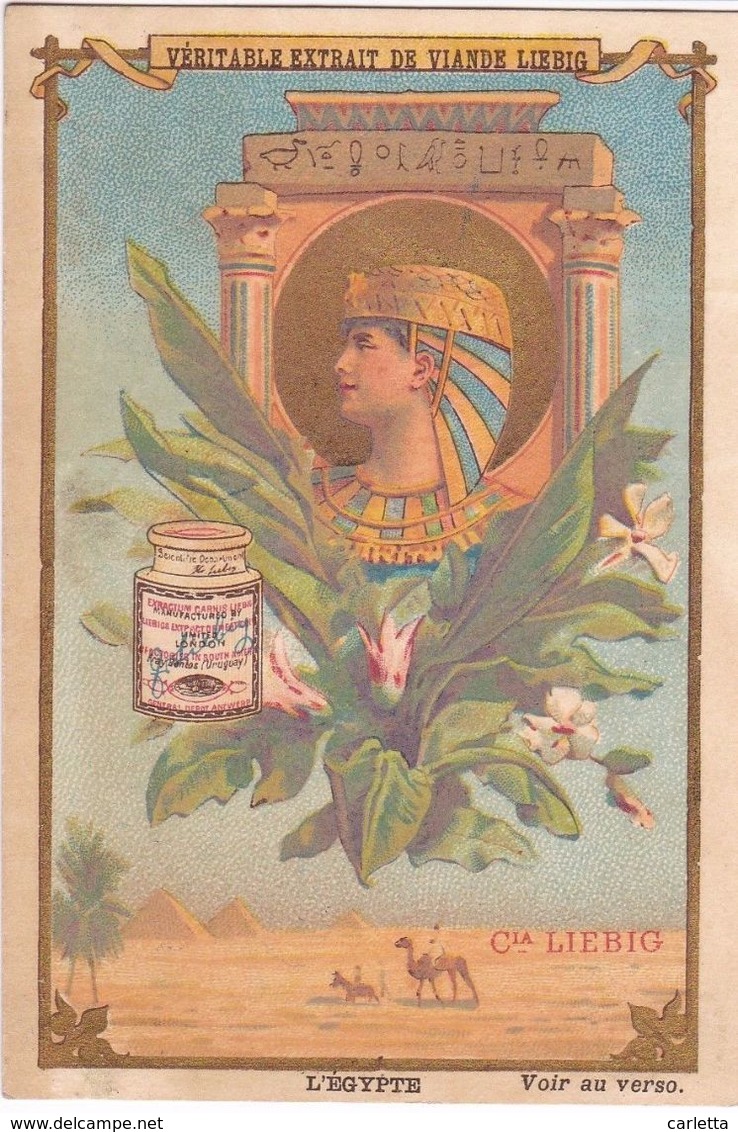 LIEBIG -CHROMO S187 -EGYPTE  - PORTRAIT JEUNE FEMME - Liebig