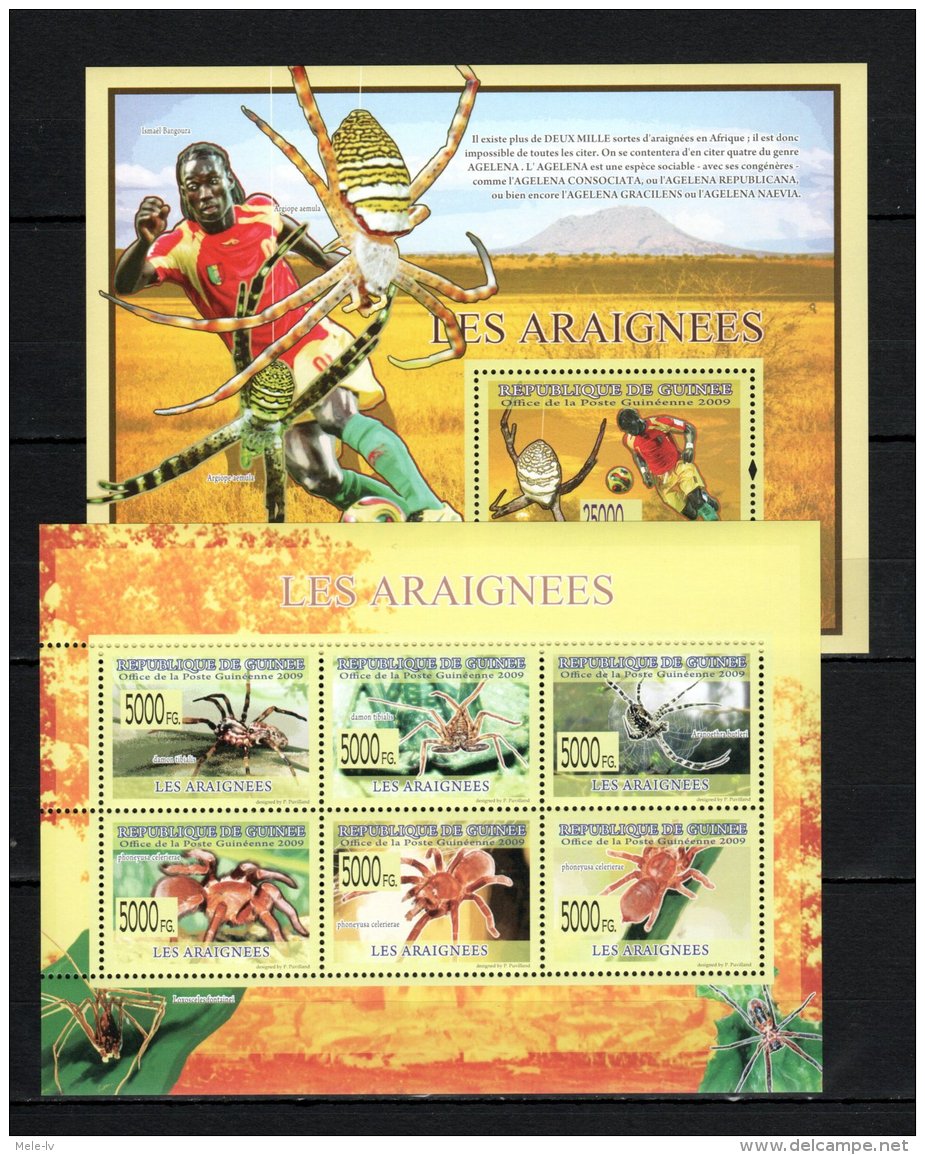 Guinea 2009 Spiders MNH -(V-51) - Spiders