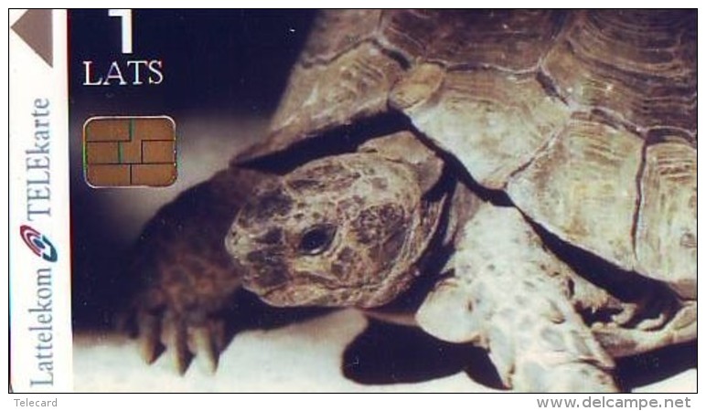 Télécarte  PUCE * LATVIA (2332) Skala Sikaminias Lesvos Island Greece * TORTUE * TURTLE * Phonecard * ISSUED 25 CARDS - Tortues