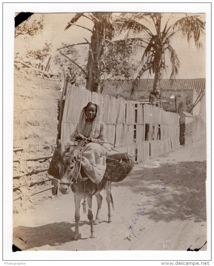 Colombie Santa Marta Femme Et Son Ane Allant Au Marche? Ancienne Photo GJ Becker 1910's - Plaatsen