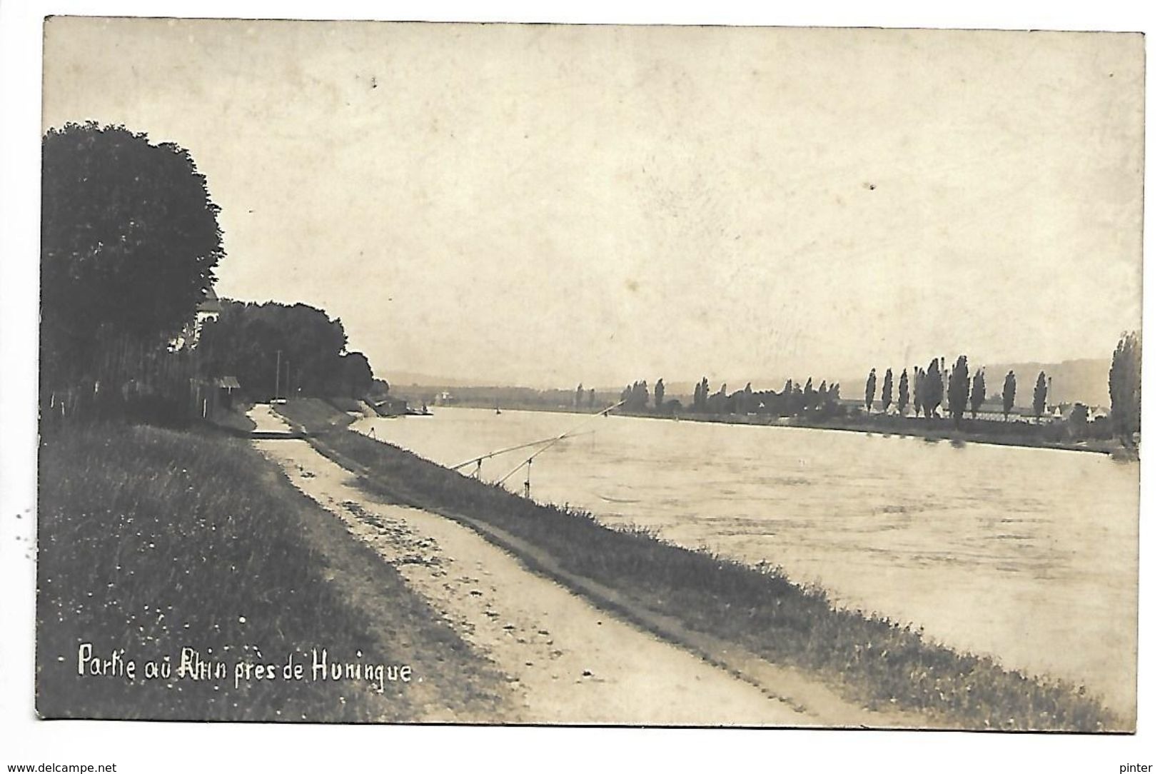 Partie Du Rhin Près De HUNINGUE - CARTE PHOTO - Huningue