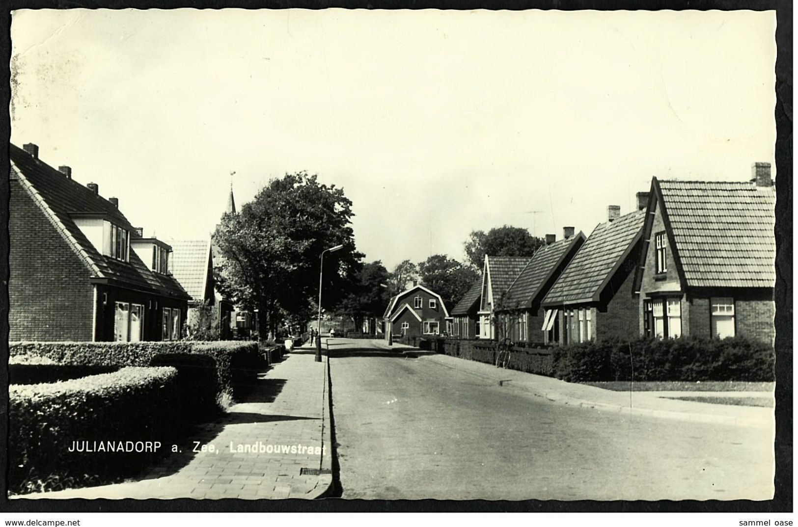 Julianadorp Aan Zee  -   Landbouwstraat  -  Ansichtskarte Ca.1970    (8194) - Den Helder