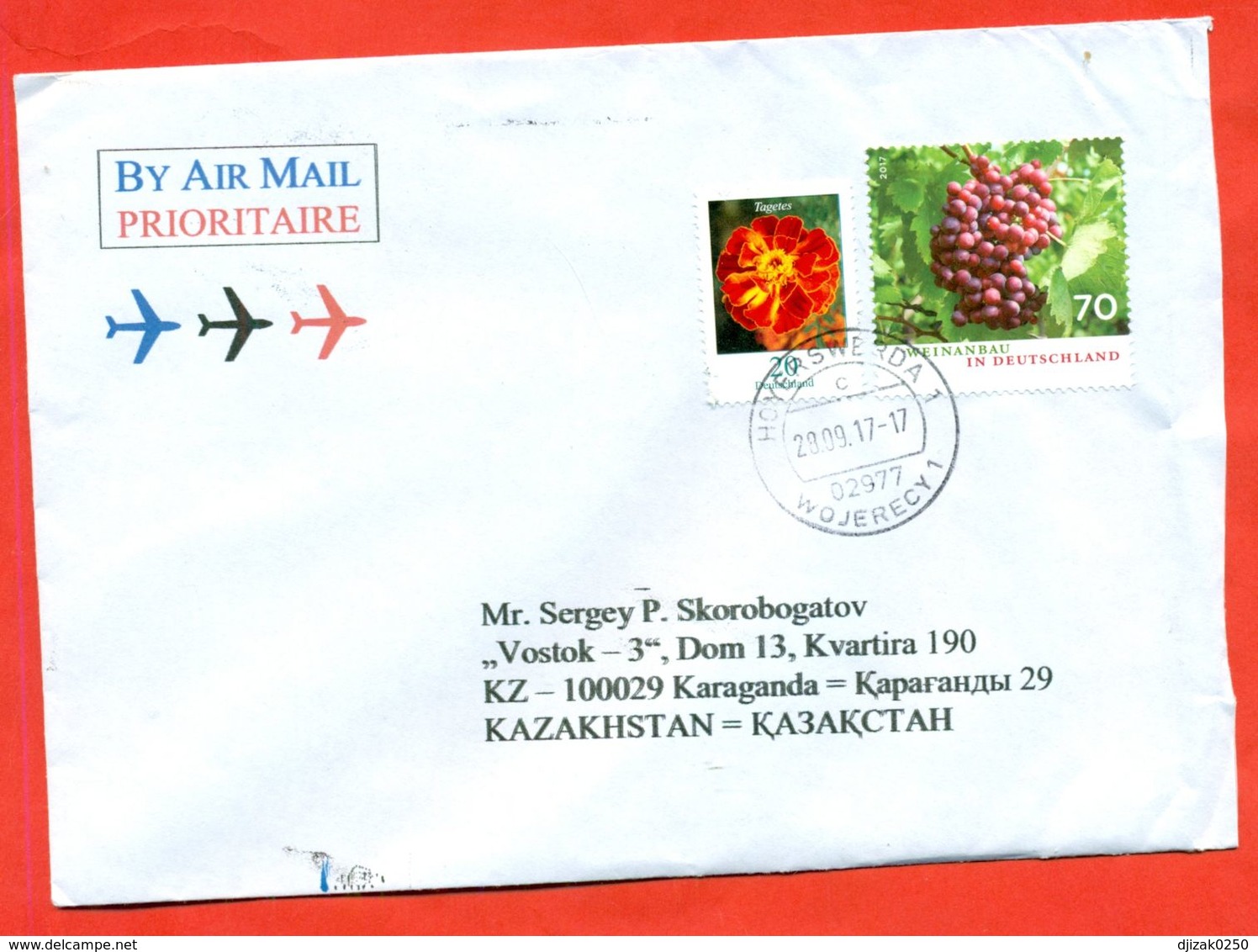 Germany 2017.Grapes. Flower. The Envelope Passed The Mail. - Covers & Documents