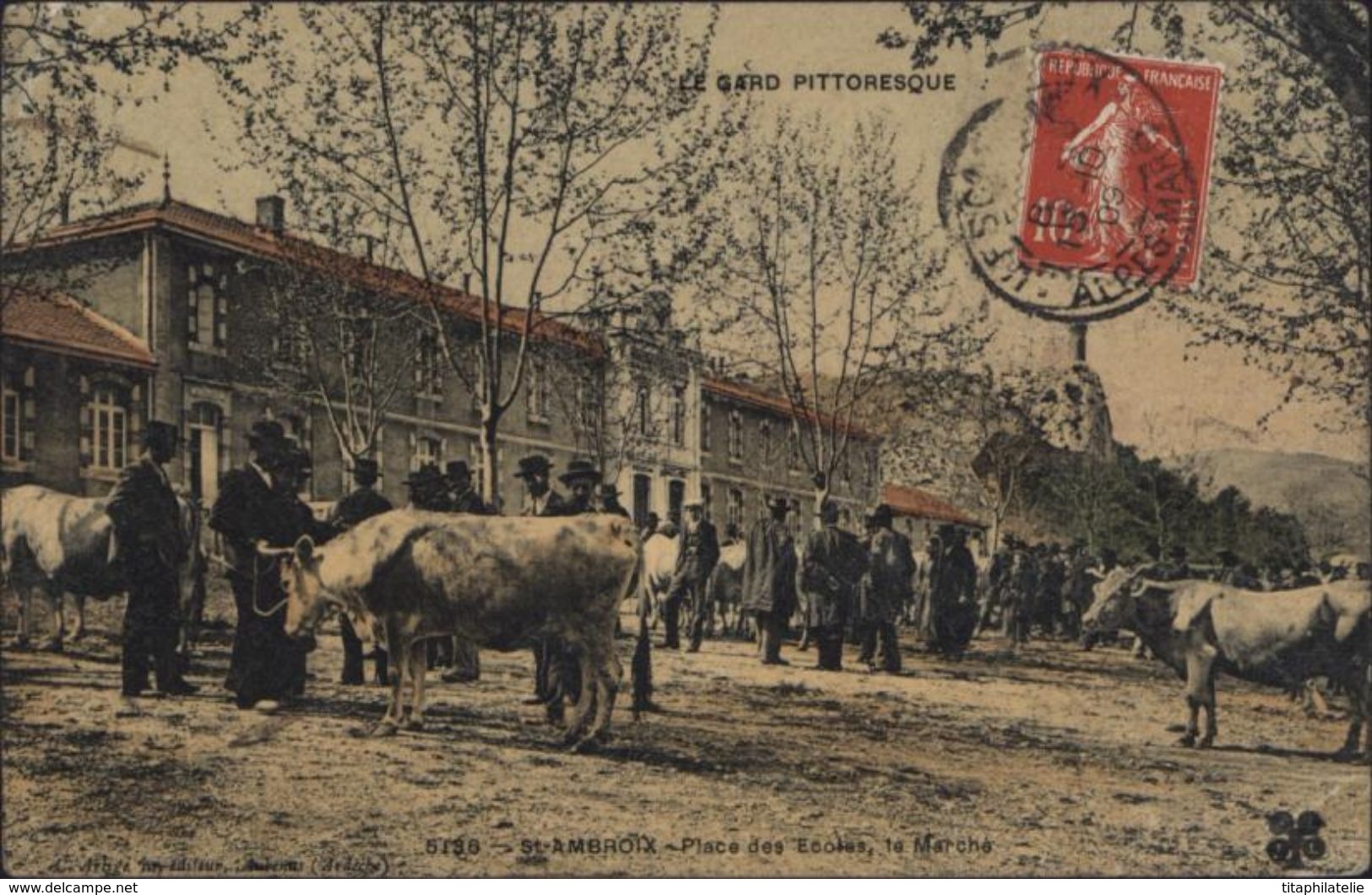 CPA Le Gard Pittoresque Saint St Ambroix Place Des écoles Le Marché Bestiaux Bovins Vaches Circulée 1909 BM Boite Mobile - Saint-Ambroix