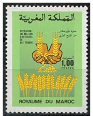 Maroc. N° 1016** Y Et T - Marokko (1956-...)