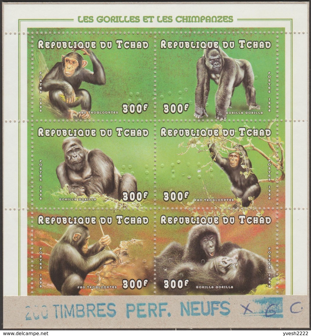 Tchad 1998 Y&T 937/42 Michel 1697 à 1702. Perforés Annulés Sur Carton. Gorilles Et Chimpanzés - Gorilla