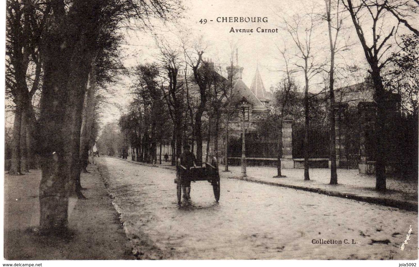 50 - CHERBOURG - Avenue Carnot - Cherbourg