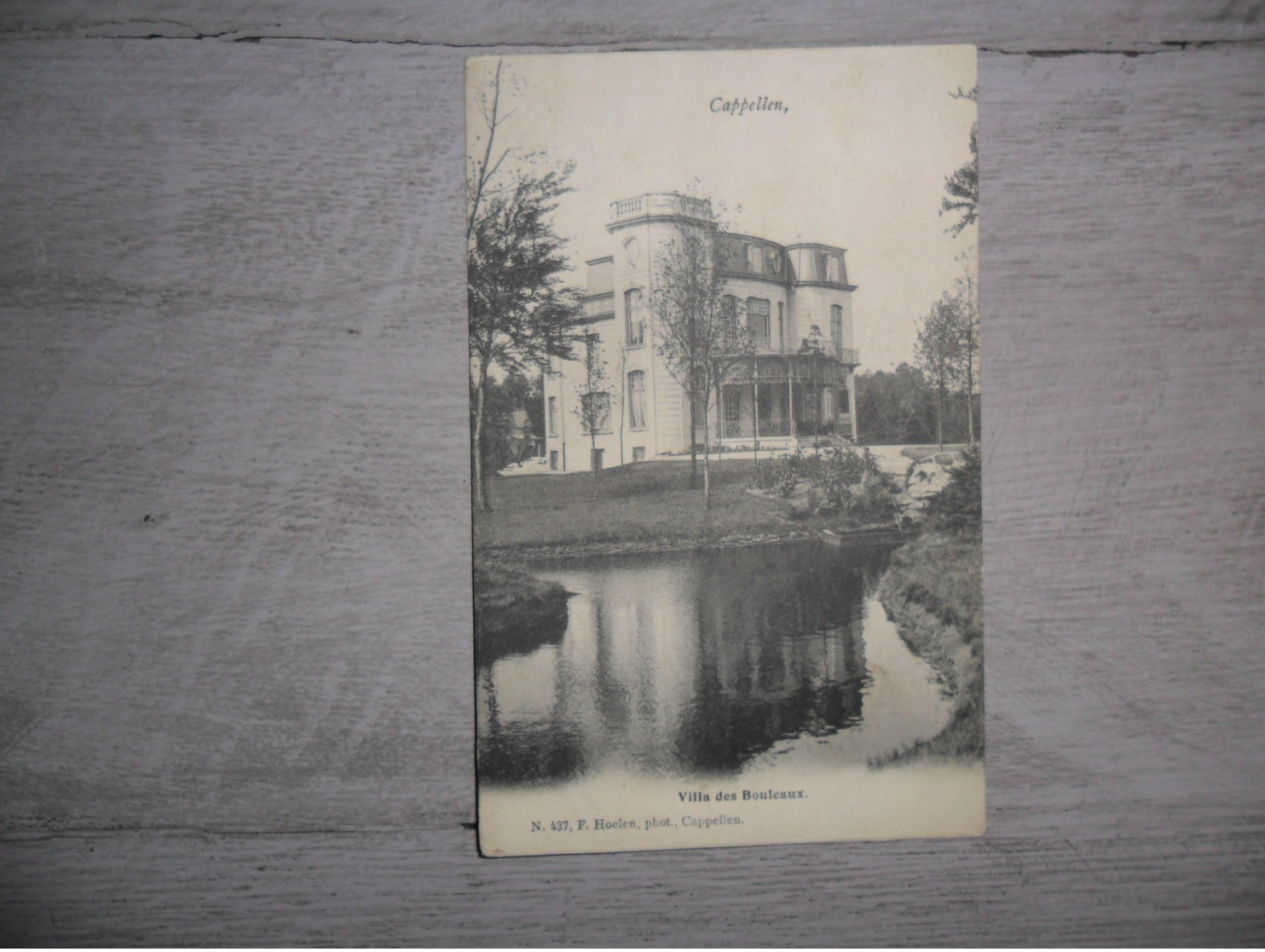 Cappellen ( Kapellen)  :   Villa Des Bouleaux  -  F. Hoelen N° 437 - Kapellen