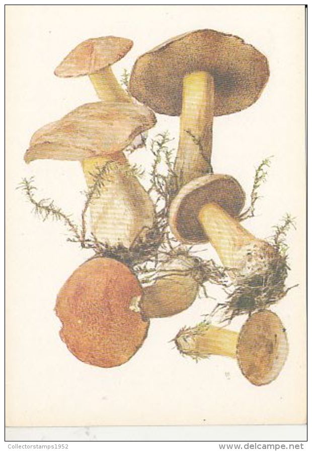 69486- MUSHROOMS - Mushrooms