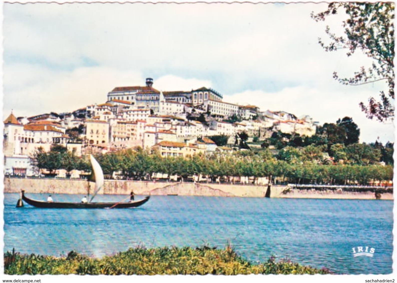 Gf. COIMBRA. Vista Parcial. 209 - Coimbra