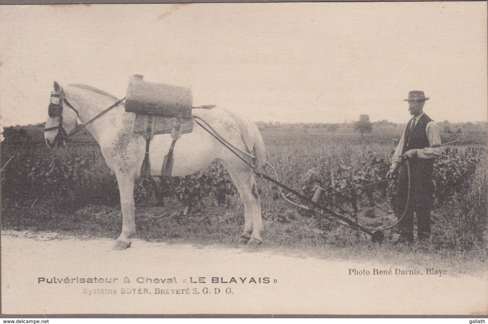 33-ST-GIRONS-D'AIGUEVIVES-Pulvérisateur à Cheval "LE BLAYAIS" Système M.A. BOYER Animé  (CARTE RARE) - Autres & Non Classés