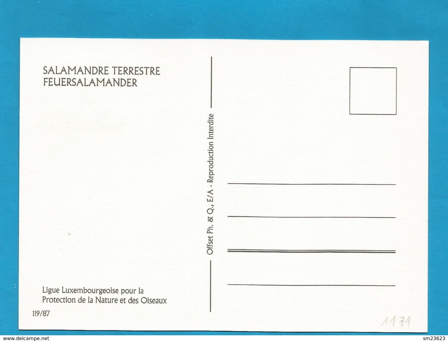 Luxemburg 1987  Mi.Nr. 1171 , Feuersalamander - SYMPATHIE - Maximum Card - Annee Europeenne De L'Environnement 5.9.1987 - 1987