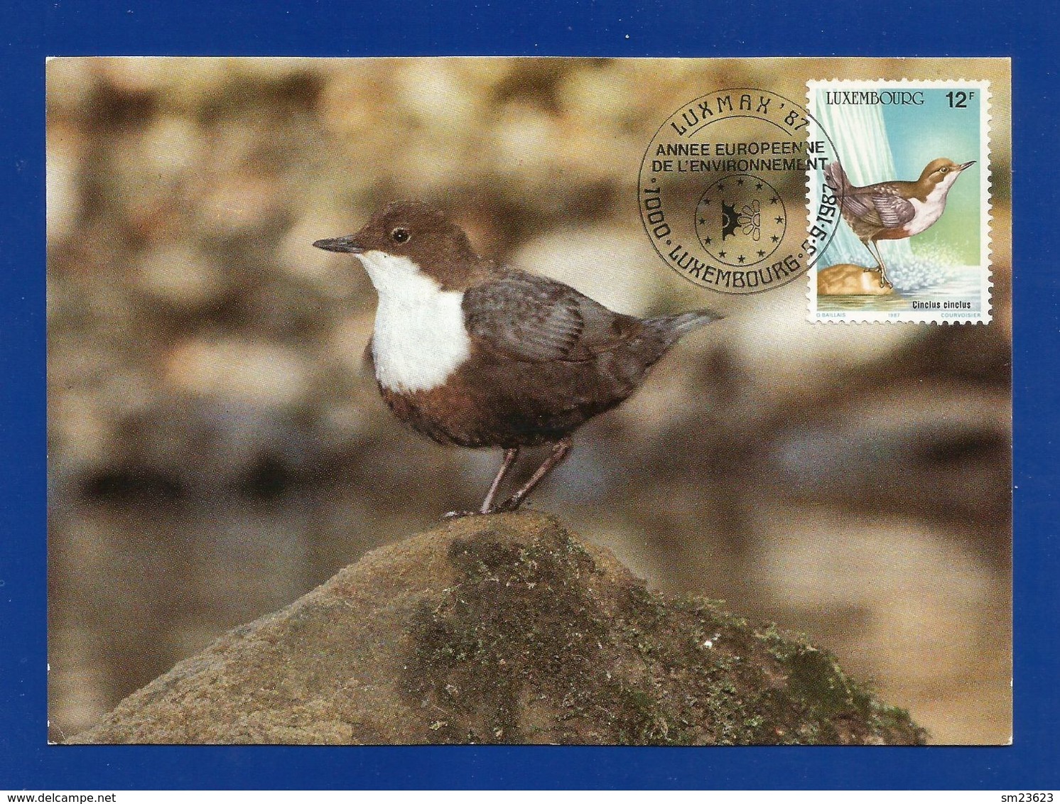 Luxemburg 1987  Mi.Nr. 1170 , SYMPATHIE - Wasseramsel - Maximum Card - Annee Europeenne De L'Environnement 5.9.1987 - 1987