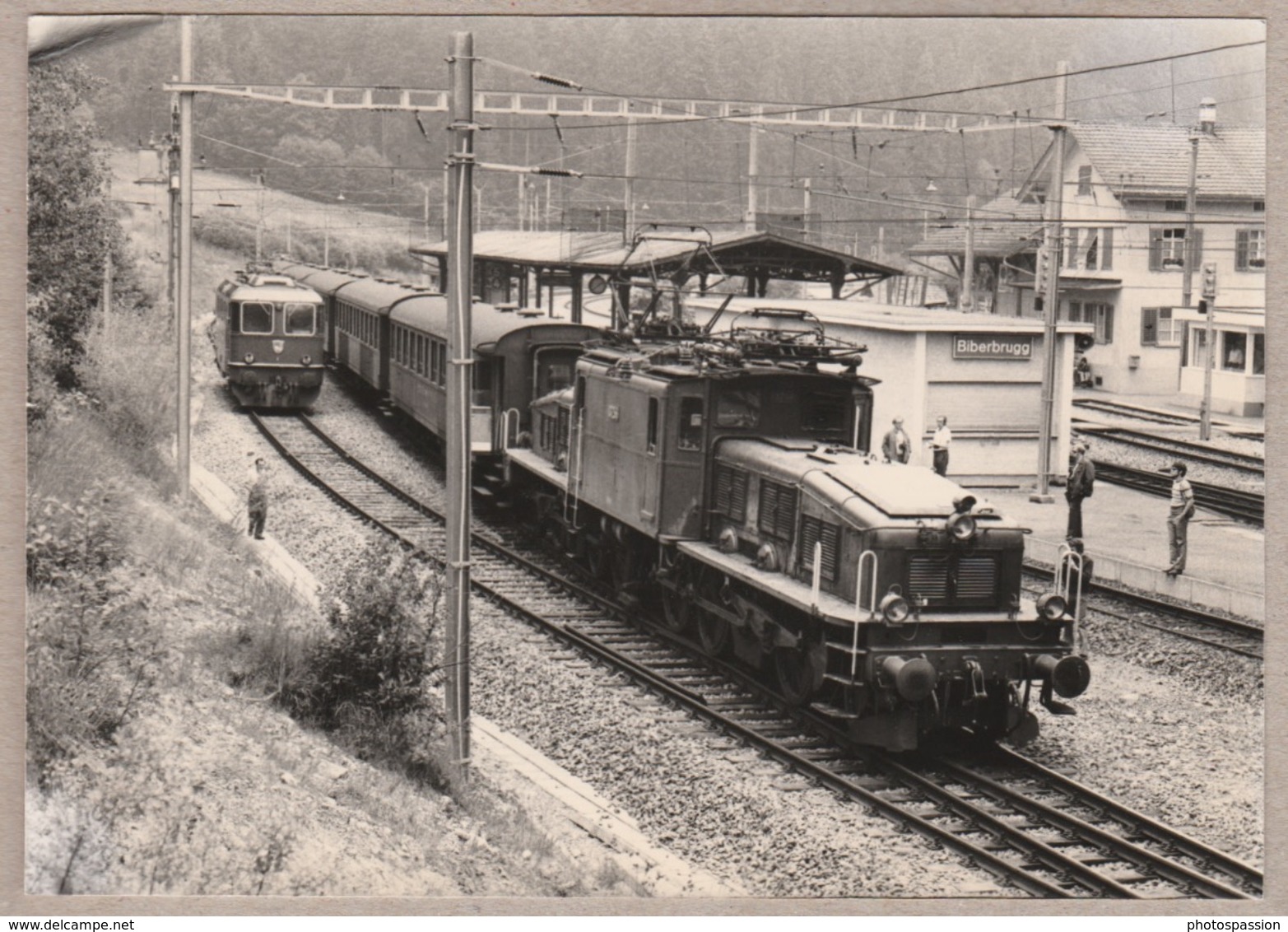 SBB CFF En Gare De Biberbrugg - Bahn - Trains - Railway - Trains