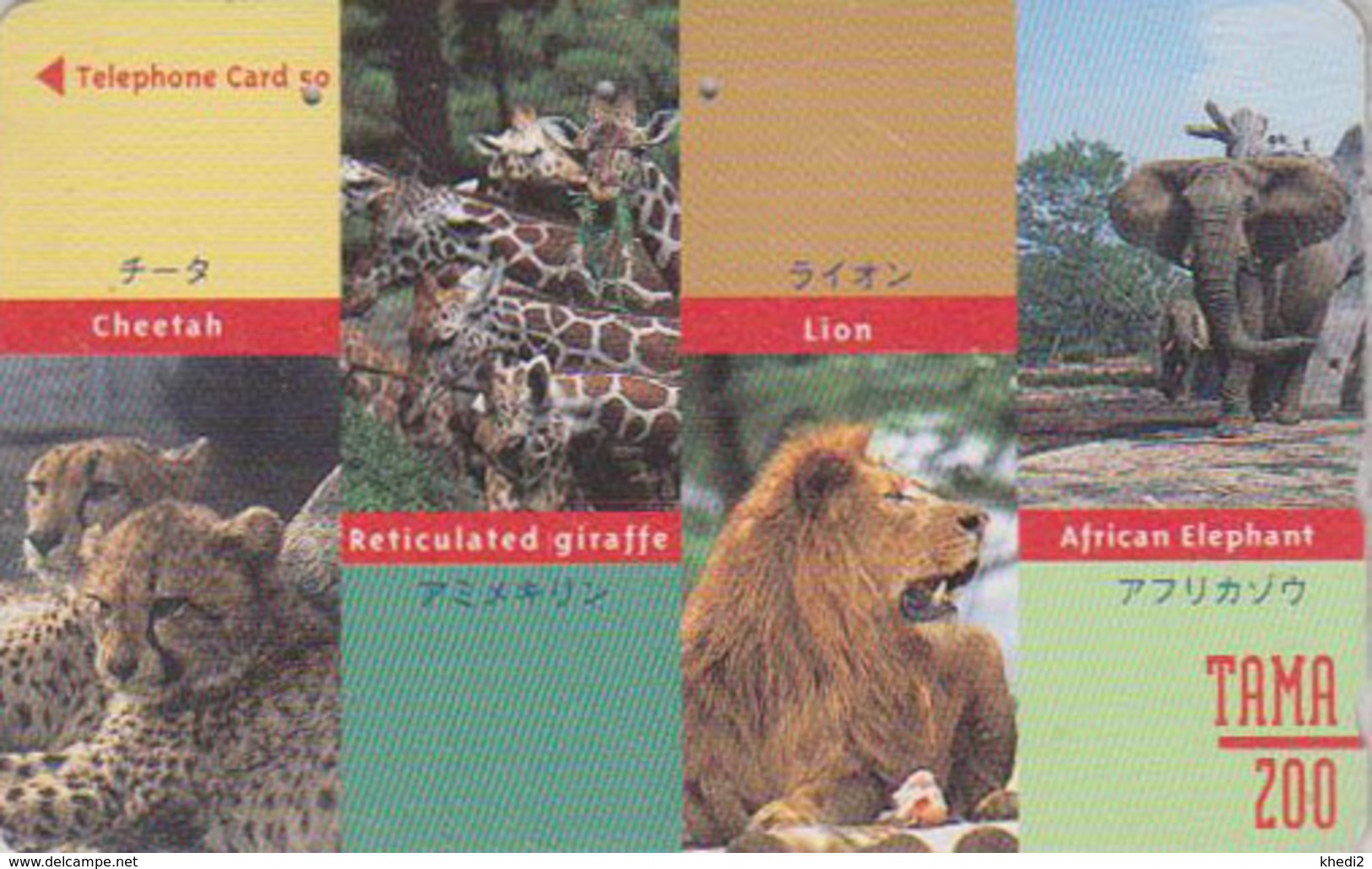 Télécarte Japon / 110-175035 - Série TAMA ZOO - ANIMAL - ELEPHANT GIRAFE LION GUEPARD - GIRAFFE CHEETAH JAPAN Phonecard - Jungle