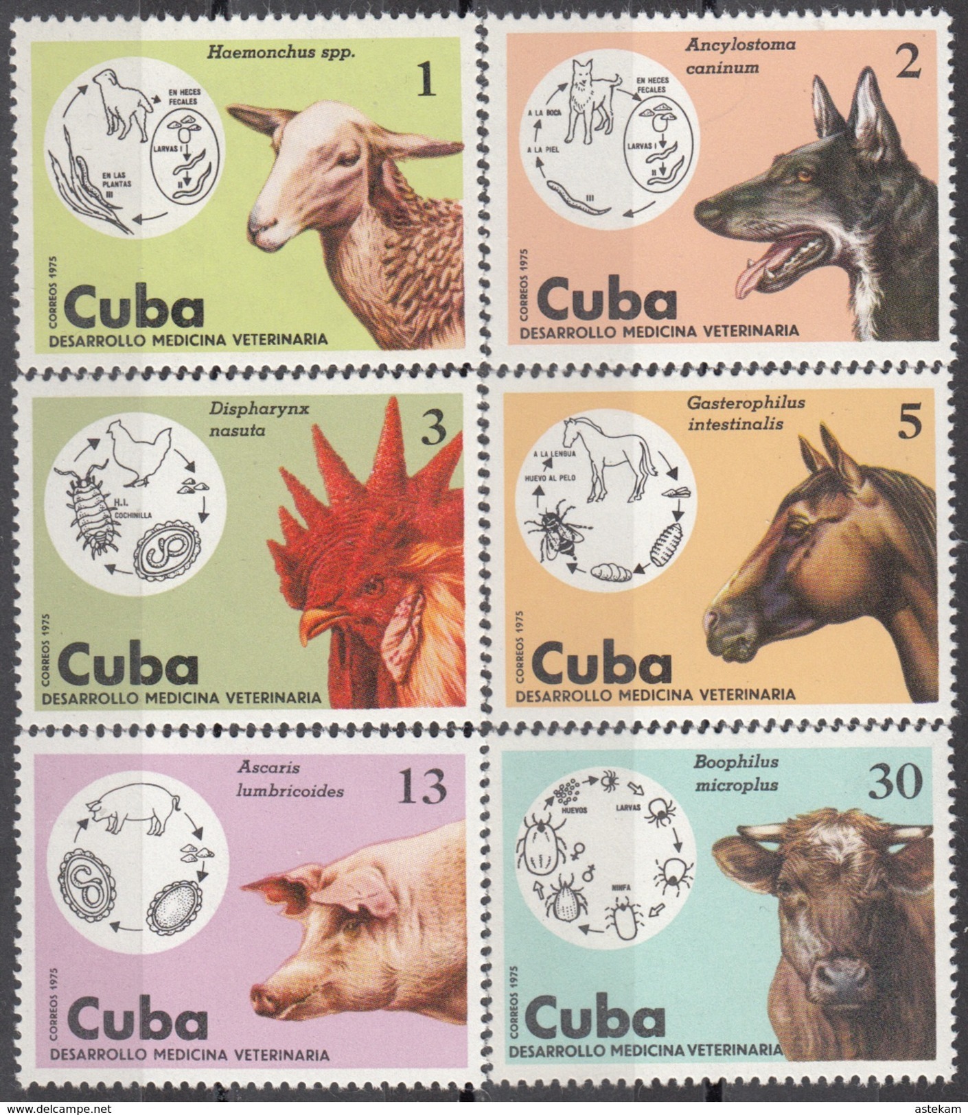 CUBA 1975, FAUNA, DOMESTIC ANIMALS, DOG, COCK, HORSE, SHEEP, PIG, COW, COMPLETE MNH SET, GOOD QUALITY, *** - Ungebraucht