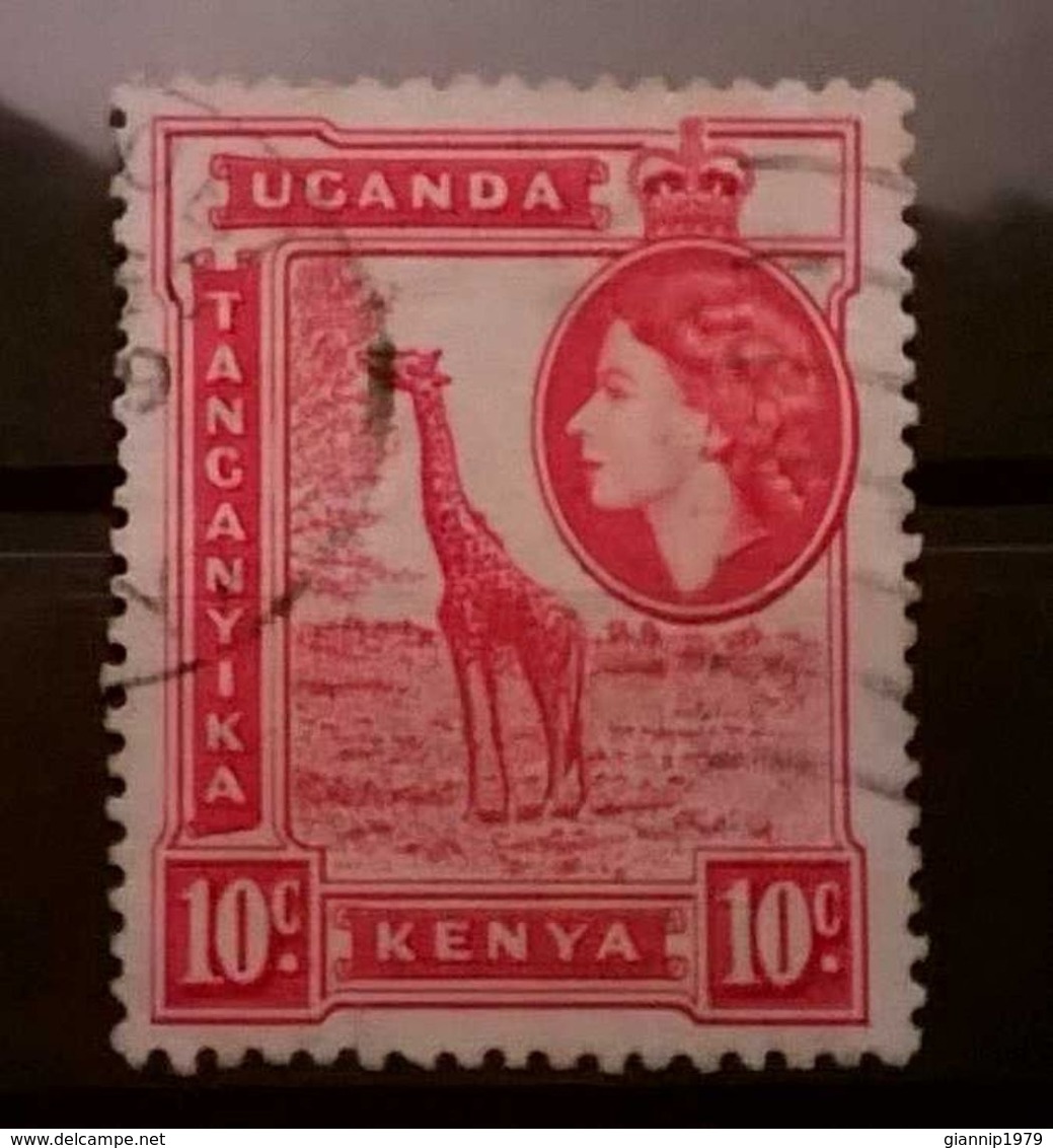 FRANCOBOLLI STAMPS UGANDA KENYA 1954 REGINA ELISABETTA - Uganda (1962-...)