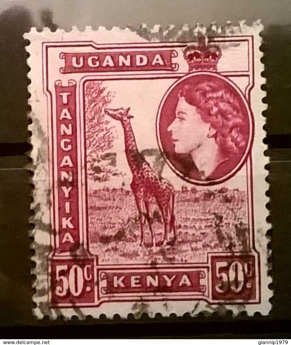 FRANCOBOLLI STAMPS UGANDA KENYA 1954 REGINA ELISABETTA - Uganda (1962-...)