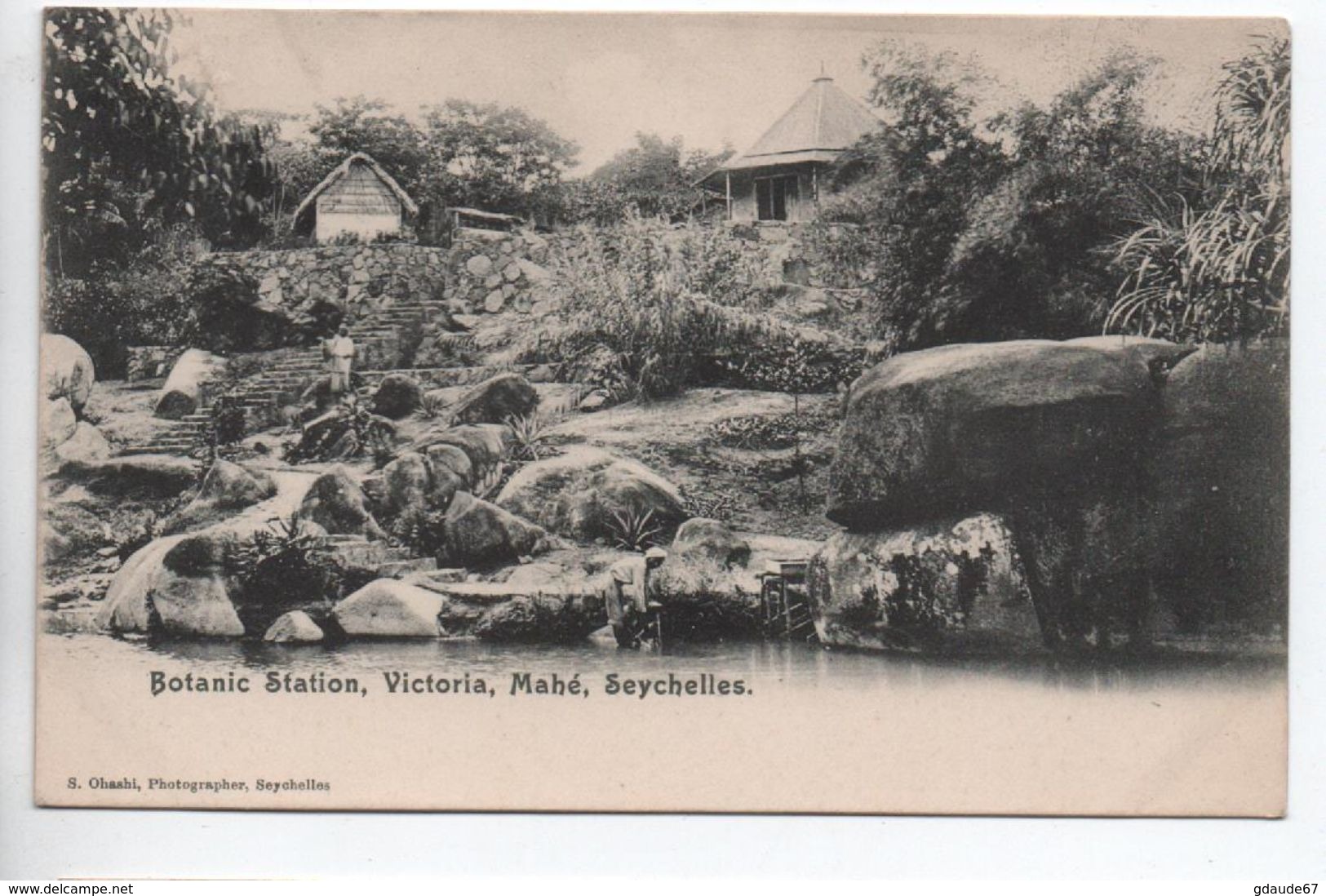 MAHE (SEYCHELLES) - BOTANIC STATION - VICTORIA - Seychelles