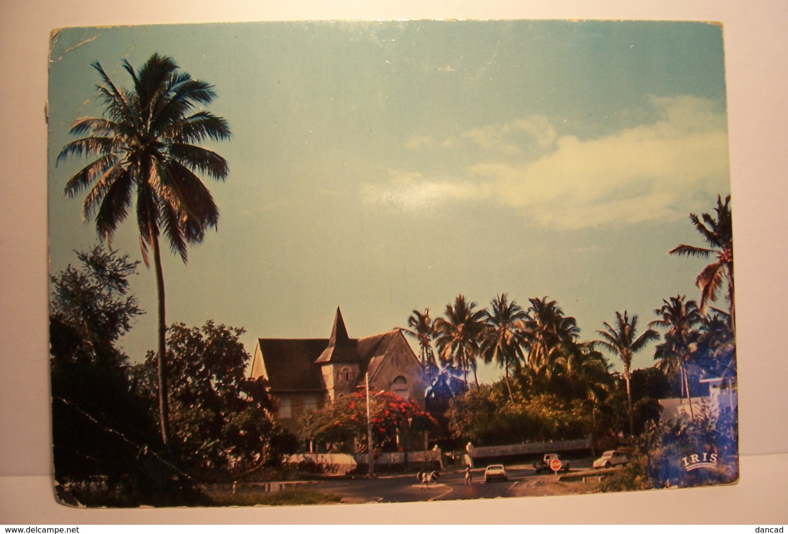 ILE DE LA  REUNION     -   SAINT- PAUL  - Au Milieu Des Cocotiers     - ( Pas De Reflet Sur L'original ) - Saint Paul