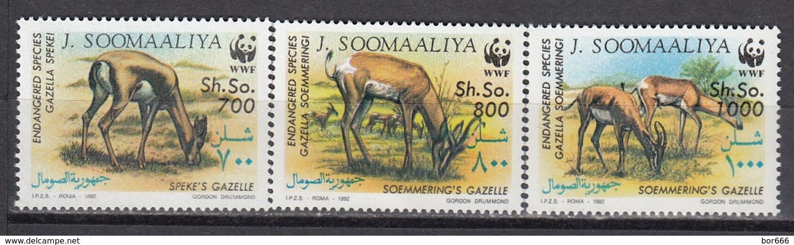 Somalia - WWF / ANIMALS 1992 MNH - Somalia (1960-...)