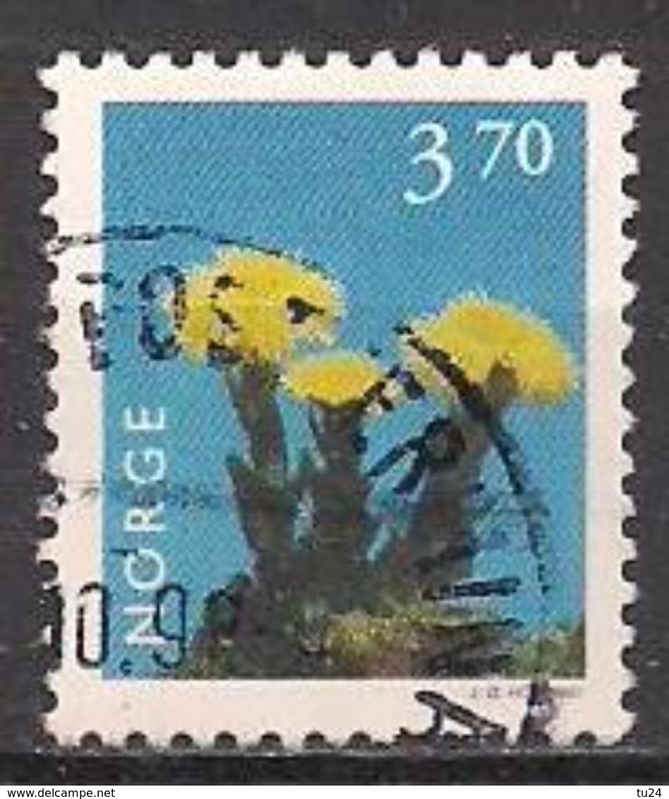 Norwegen  (1997)  Mi.Nr.  1231  Gest. / Used  (3ev20) - Gebraucht