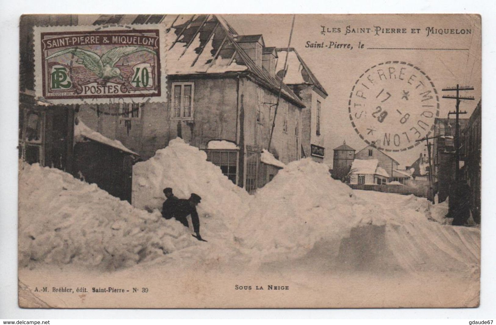 ILES SAINT PIERRE ET MIQUELON - SOUS LA NEIGE - Saint-Pierre-et-Miquelon