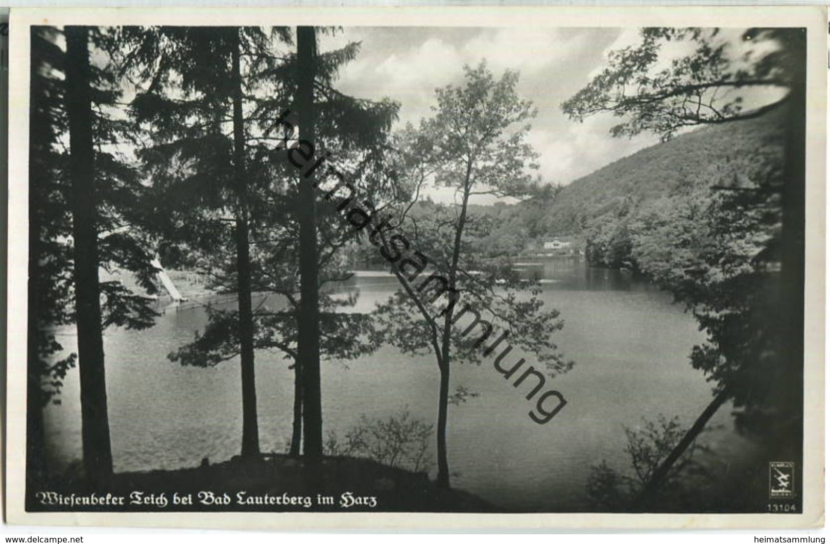 Bad Lauterberg - Wiesenbeker Teich - Foto-Ansichtskarte - Verlag Klinke & Co Berlin - Bad Lauterberg