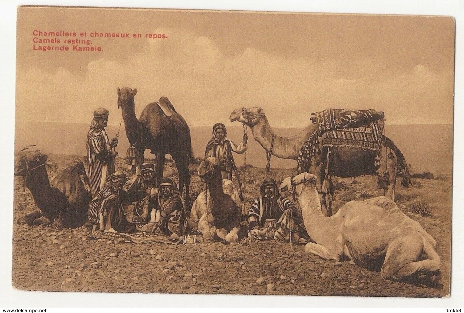 AFRICA - CAMELS RESTING - 1920s ( 2183) - Non Classificati