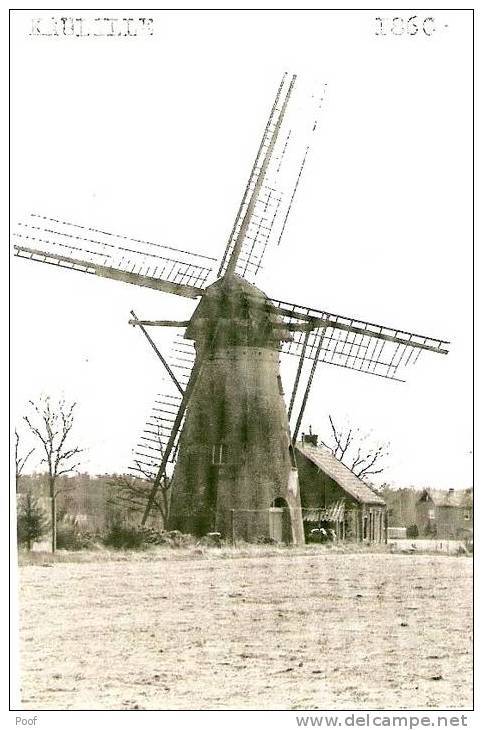 Kaulille : Molen (foto) - Andere & Zonder Classificatie