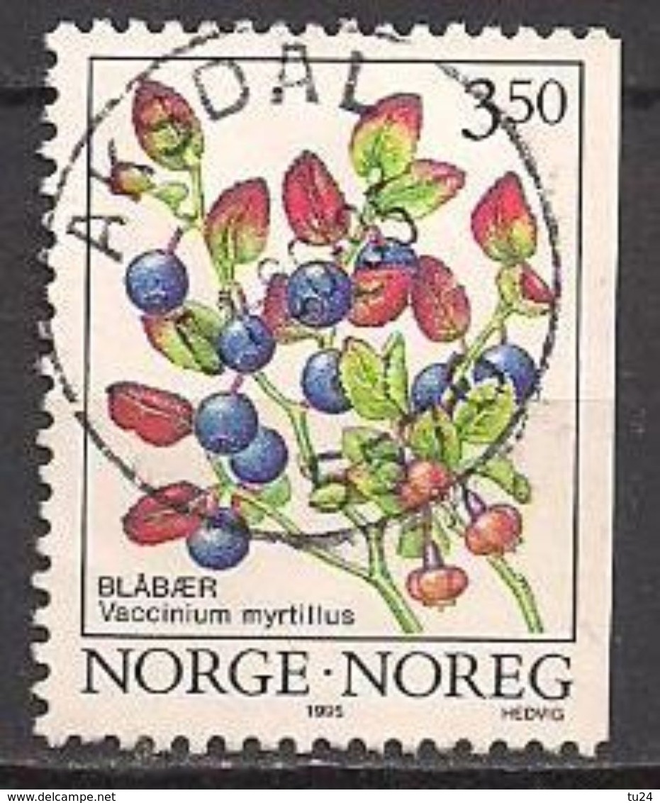 Norwegen  (1995)  Mi.Nr.  1175 Y Gest. / Used  (2ev18) - Gebraucht